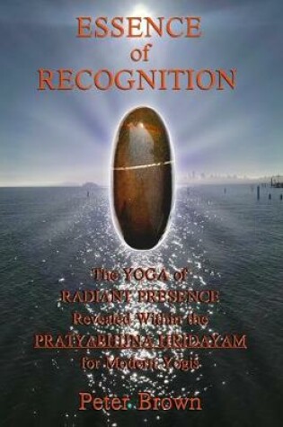 Cover of Essence of Recognition