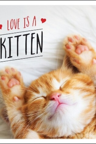 Cover of Love is a Kitten