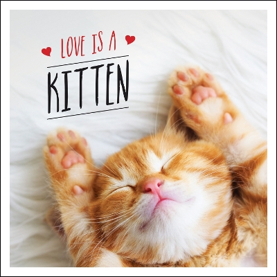 Book cover for Love is a Kitten