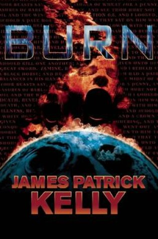 Cover of Burn