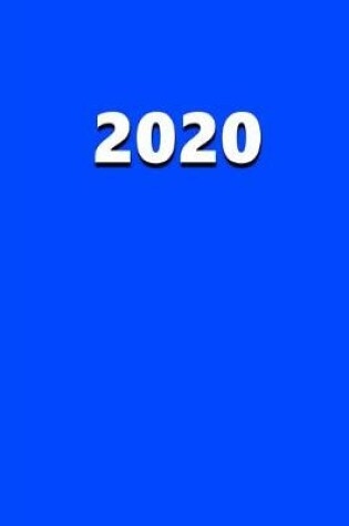 Cover of 2020 Daily Planner 2020 Blue Color 384 Pages