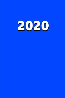 Book cover for 2020 Daily Planner 2020 Blue Color 384 Pages