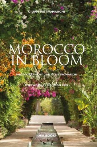 Cover of Morocco in Bloom