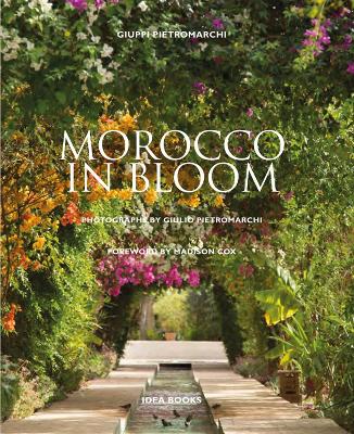 Book cover for Morocco in Bloom