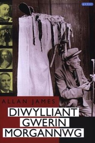 Cover of Diwylliant Gwerin Morgannwg