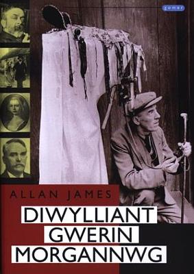 Book cover for Diwylliant Gwerin Morgannwg