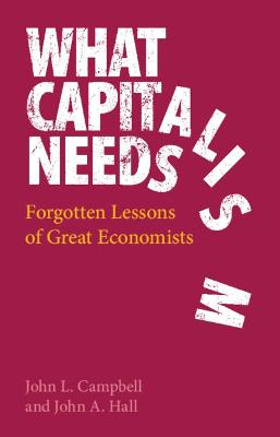 Book cover for What Capitalism Needs