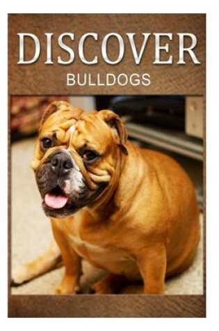 Cover of Bulldogs - Discover