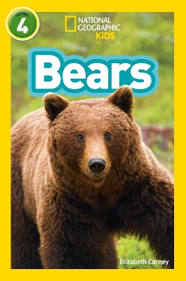 Book cover for Bears