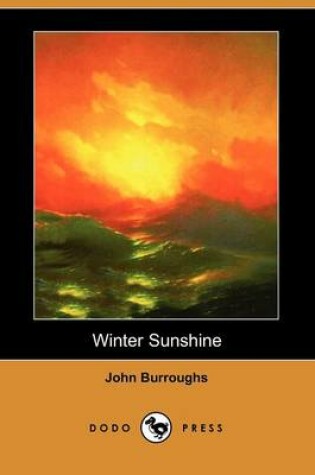 Cover of Winter Sunshine (Dodo Press)