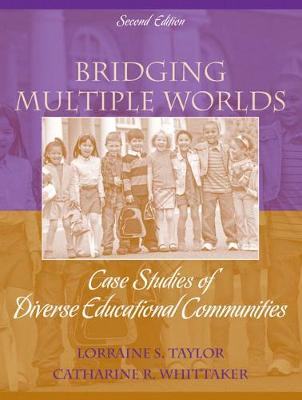 Book cover for Bridging Multiple Worlds