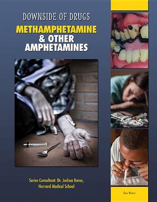 Book cover for Methamphetamine and Other Amphetamines