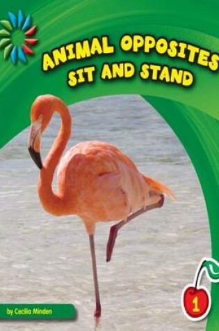 Cover of Sit and Stand