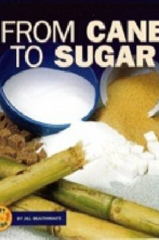 Cover of From Cane to Sugar