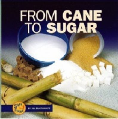 Book cover for From Cane to Sugar