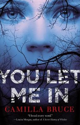 Book cover for You Let Me in