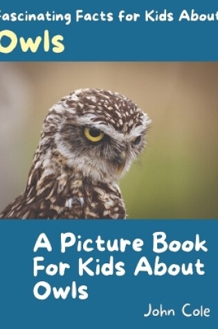 Cover of A Picture Book for Kids About Owls