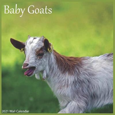 Book cover for Baby Goats 2021 Wall Calendar