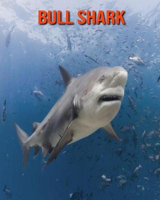 Book cover for Bull Shark