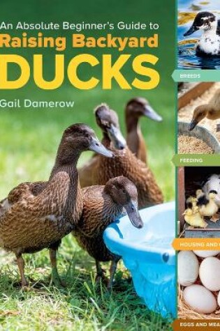 Cover of An Absolute Beginner's Guide to Raising Backyard Ducks
