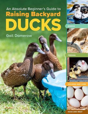 Book cover for An Absolute Beginner's Guide to Raising Backyard Ducks