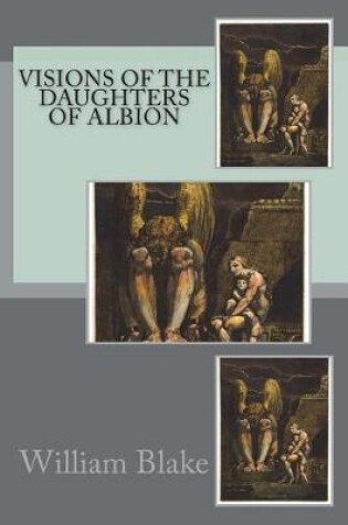 Cover of Visions of the Daughters of Albion