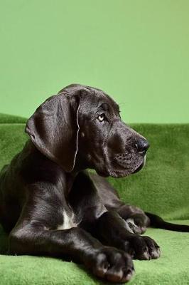 Book cover for Thoughtful Great Dane Dog Portrait Journal