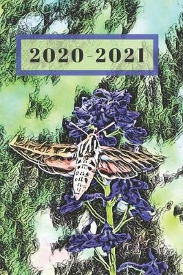 Cover of Coral Moth on Blue Delphinium on Green Dated Calendar Planner 2 years To-Do Lists, Tasks, Notes Appointments for Women
