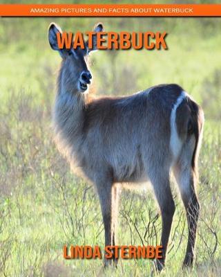 Book cover for Waterbuck