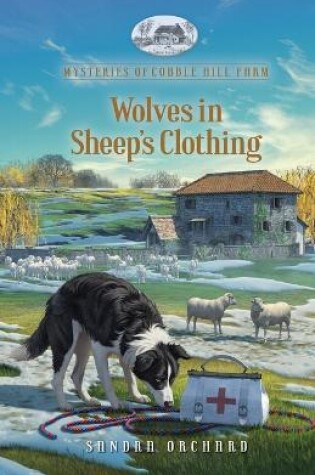 Cover of Wolves in Sheep's Clothing