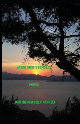 Book cover for Entre Luces Y Sombras