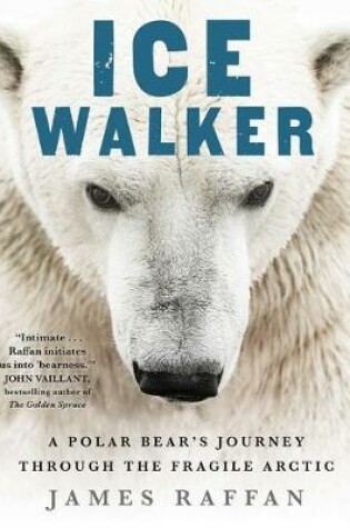 Cover of Ice Walker