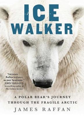 Book cover for Ice Walker