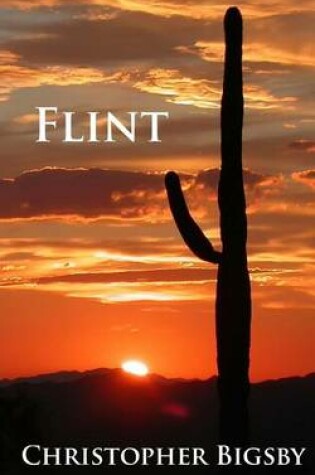 Cover of Flint