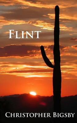 Book cover for Flint