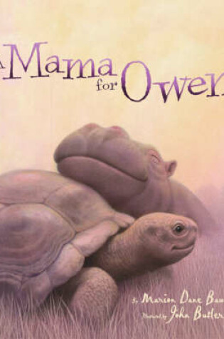 Cover of A Mummy for Owen