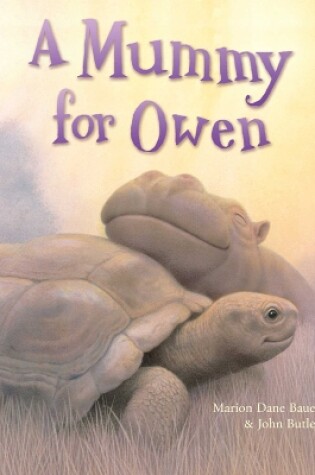 Cover of A Mummy for Owen