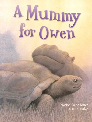 Book cover for A Mummy for Owen