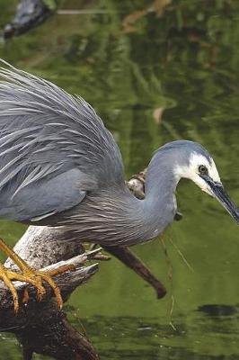 Book cover for White Face Heron Fishing at the Stream Journal