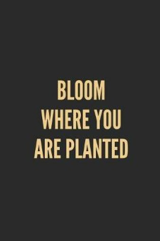 Cover of Bloom Where You Are Planted