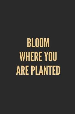 Book cover for Bloom Where You Are Planted