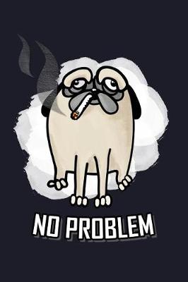 Book cover for No Problem