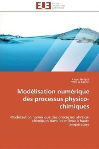 Cover of Modelisation numerique des processus physico-chimiques