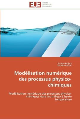 Cover of Modelisation numerique des processus physico-chimiques