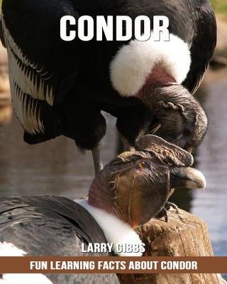 Book cover for Fun Learning Facts about Condor