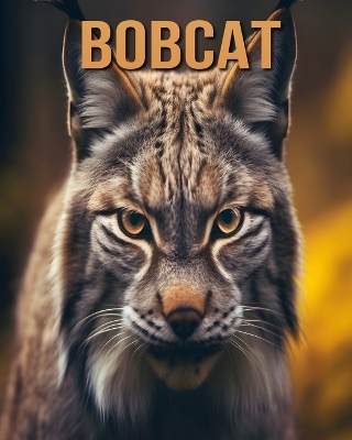 Book cover for Bobcat