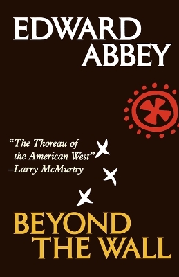 Book cover for Beyond the Wall
