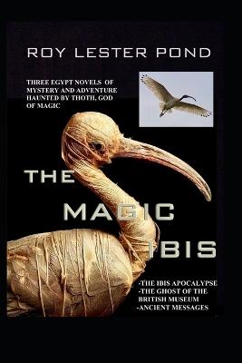 Book cover for The Magic Ibis