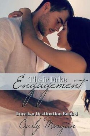 Cover of Their Fake Engagement