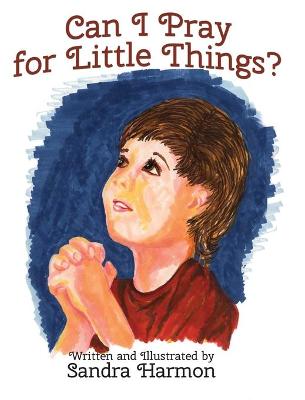 Book cover for Can I Pray for Little Things?